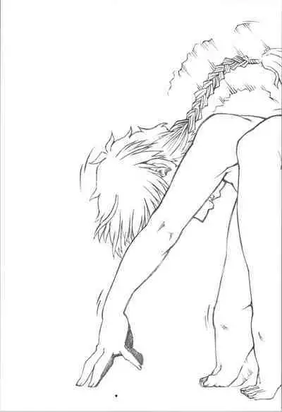 Saotome Ranma no Seitai Preview Ver2