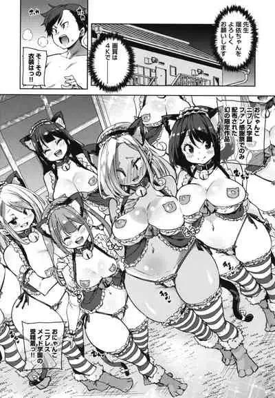 1 Pako 2 Pako 3 Pakori