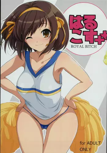 Harucos 12