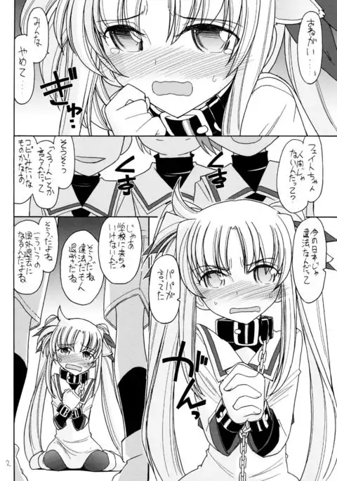 DOG FATE