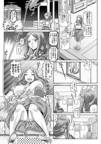 [TYPE.90] Inbo no Anazono [Digital]