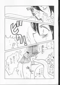 (C61) [Ginmomodou (Mita Satomi)] Yogosareta Gigai (Bleach)