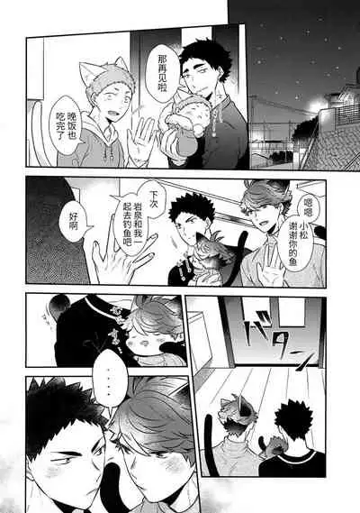 Iwa-chan no Neko ni Naritai 7 | 我想成为小岩的猫7