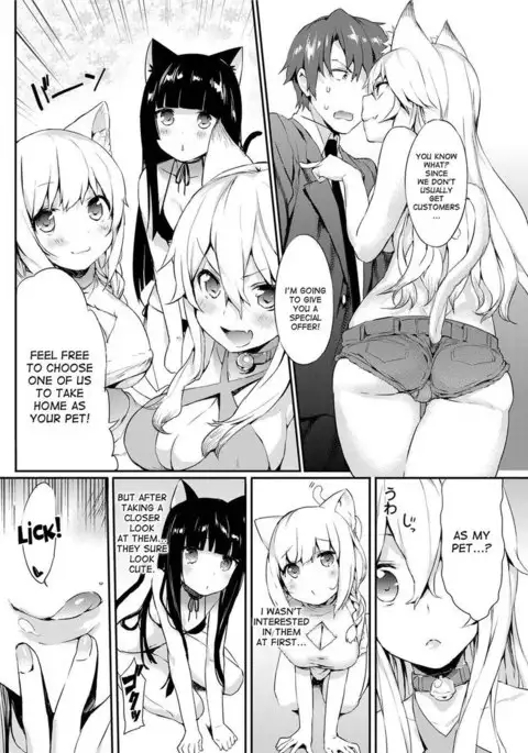 Nyan Nyan Operation
