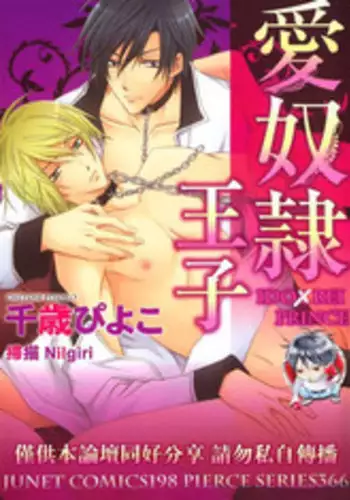 Chitose + 4P Leaflet