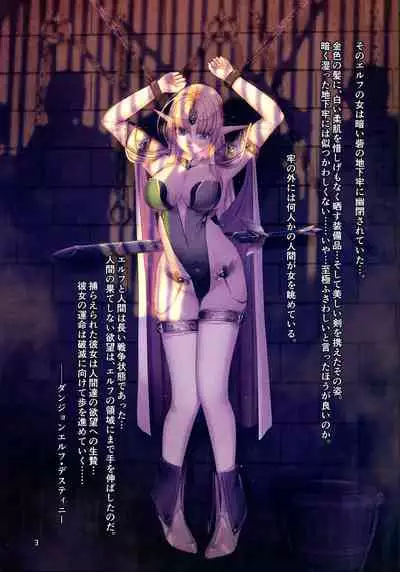 Dungeon Elf Destiny