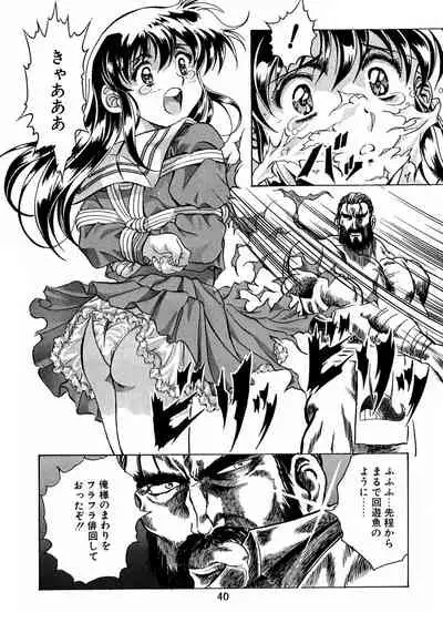 Henreikai Special Vol. 8