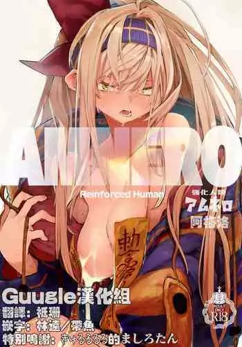 AMNERO 2