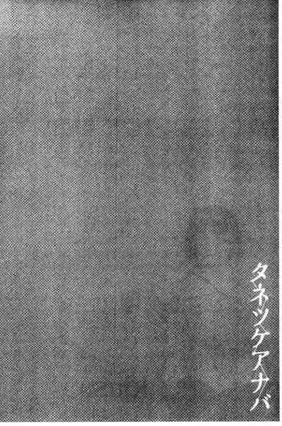 Tanetsuke Anaba