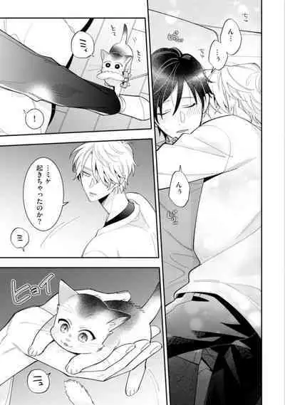 High Spec Danshi ni Natsukareteimasu