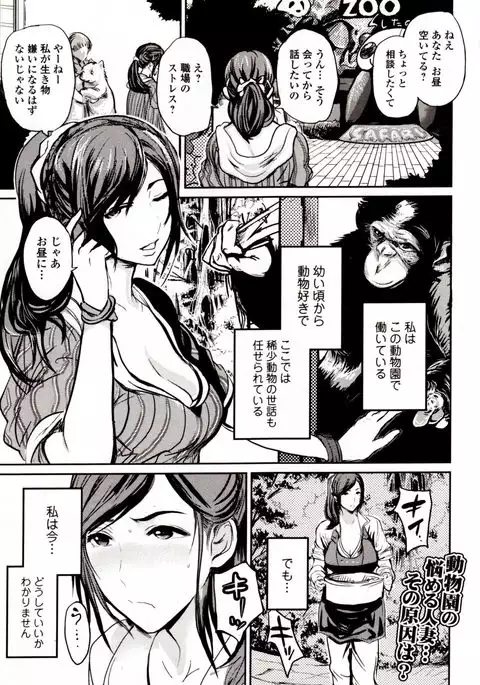 Kemono DIRECT 4