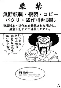 [Chirigami Goya / Fusuma Goten] Y (Dragonball)