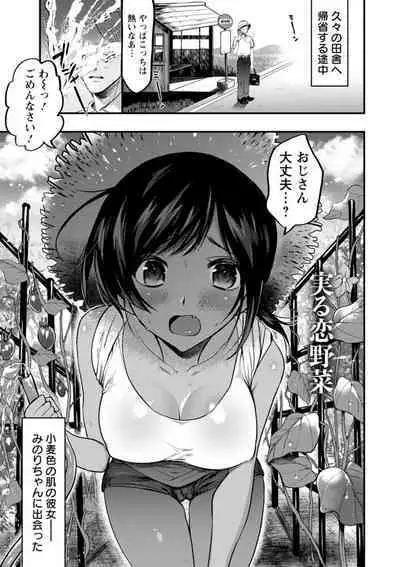 Himitsu no Meshibe