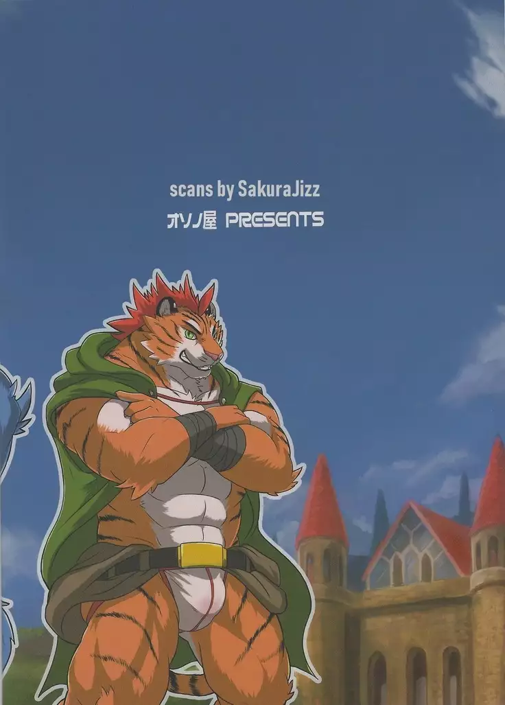 MAJIKAYO QUEST