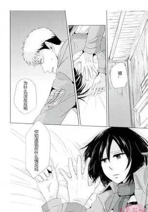 mikasa ackerman