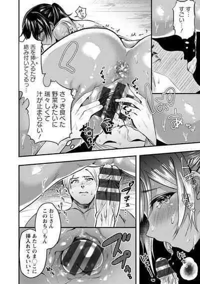 Himitsu no Meshibe