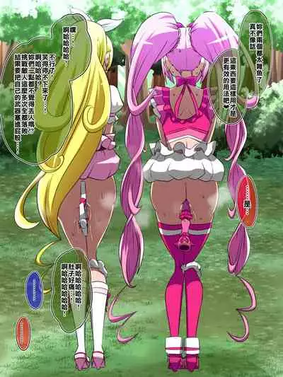 Haiboku no Precure