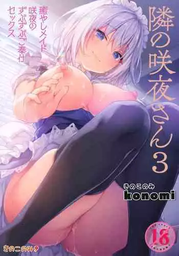 SAKUYA MAID in HEAVEN/ALL IN 1