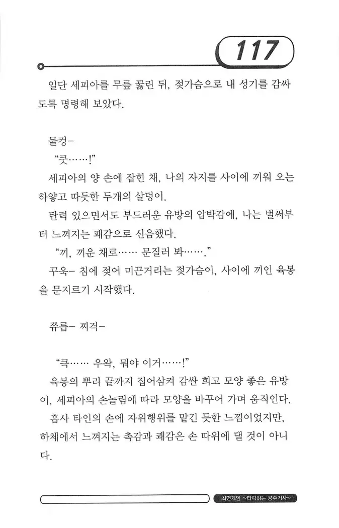 최면게임 - 타락하는 공주기사