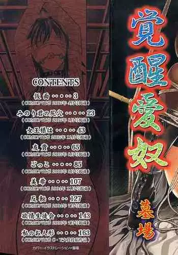 Kakusei Aido