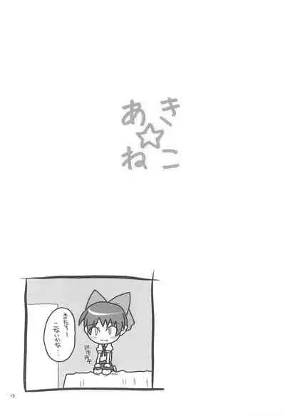 Aki Neko