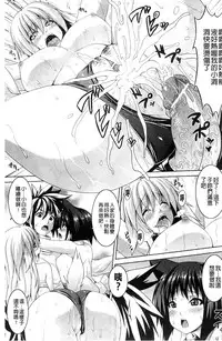 [Somejima] Bitch Harem [Chinese]