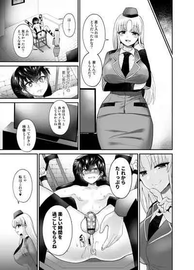 [Oshiruko Kan (Piririnegi)] Higyaku Seiai Catharsis