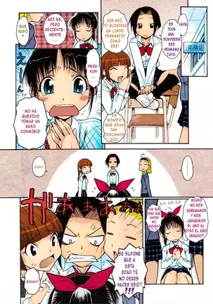 Onee-Chan Senyou! | Hermana Exclusiva
