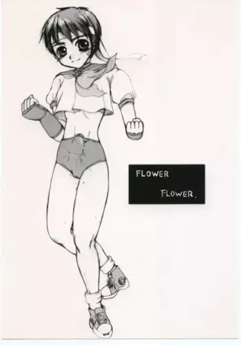 (C68) [Sarurururu (Doru Riheko)] Holic 5 Doors (Street Fighter)