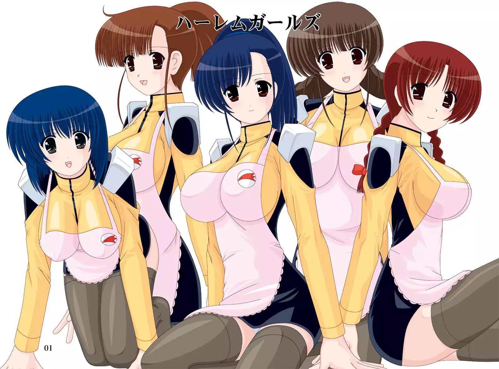 Shikoshiko DL