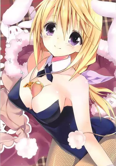 IS総集編