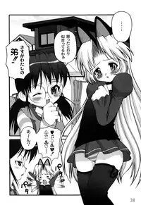[Kakogawa Tarou] DOLL HAZARD [Digital]