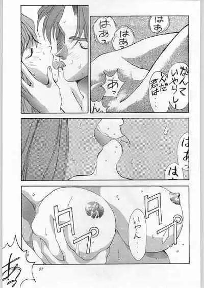 (C51) [Yaen (Suzuki Shinobu) YAEN FINAL S.SUZUKI WORKS (Various)