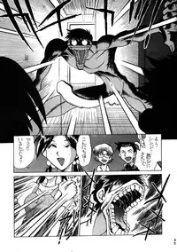 (C50) [Moriman Shouten (Various)] Katze 14 (Neon Genesis Evangelion)