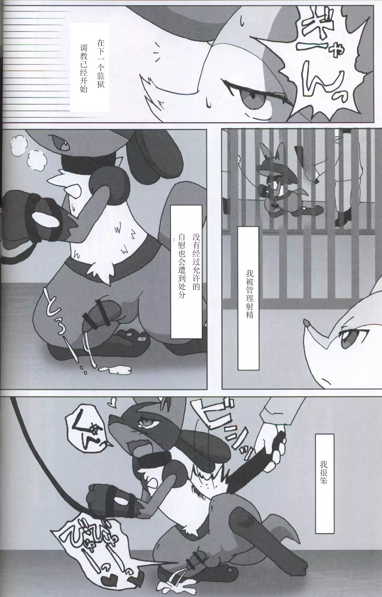 Trainer