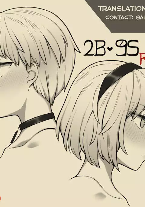 2B 9S
