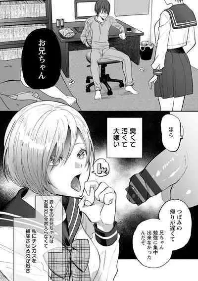 Himitsu no Meshibe