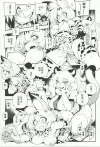 (FF30) [Bear Hand (Fishine, Ireading)] BEAST FRIENDS (Kemono Friends) [Chinese]
