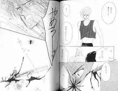 (C36) [Doll (Ozaki Minami)] Gekiretsu (Captain Tsubasa)