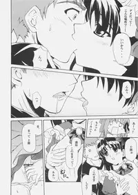 (SC32) [Yuzuriha (Aki)] Zettai Shimai Maid Roku (Fate/stay night)