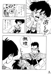 [Chirigami Goya / Fusuma Goten] Y (Dragonball)
