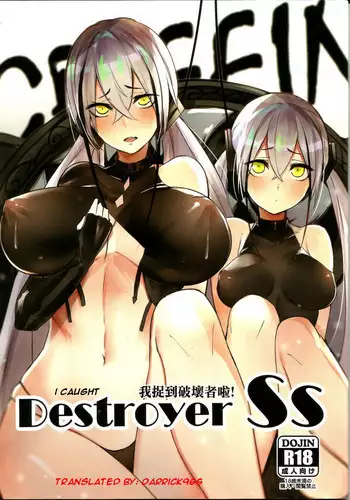 DESTROYER DESTROYER
