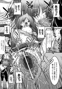 [n820] Midara Ryouiki [Digital]