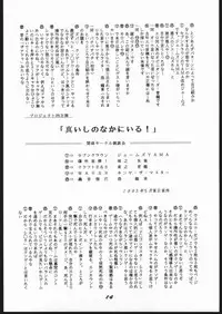 Shin ishi no naka ni iru!