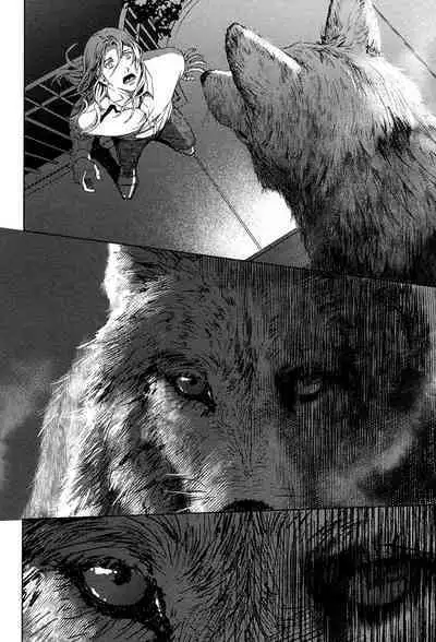 Coyote II