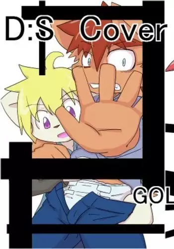 DS Cover!