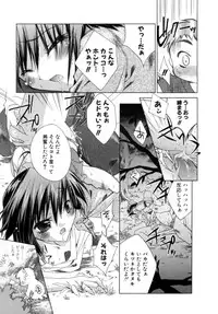 [Sid Alice] Epicurean Syndrome