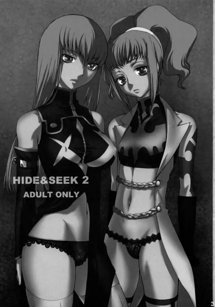 Hide & Seek 2