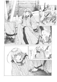 (C93) [Toko-ya (HEIZO, Kitoen)] Saint Foire Festival Richildis Soushuuhen