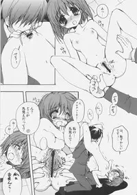 (C70) [Courmet-Nyankichi (Nekoyashiki Nekomaru)] yoidore idol ginjouden (THE iDOLM@STER)